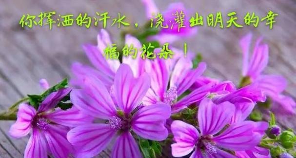 心静方能成事（一颗安静的心，开启成功之门）