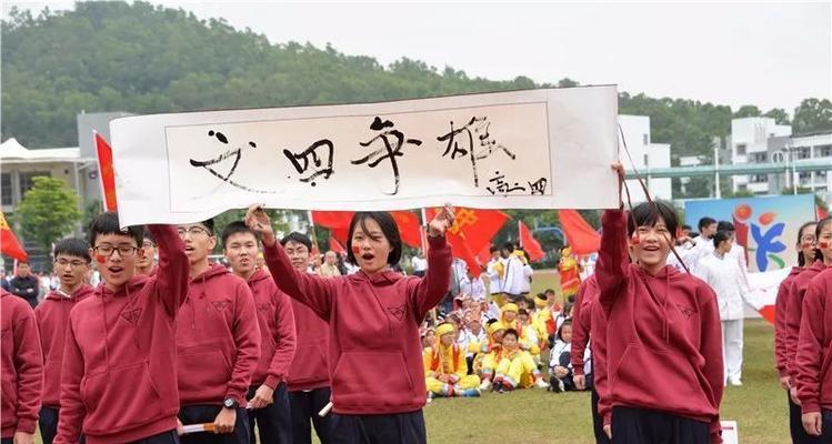 青春与风采（一位普通高中生的成长故事）