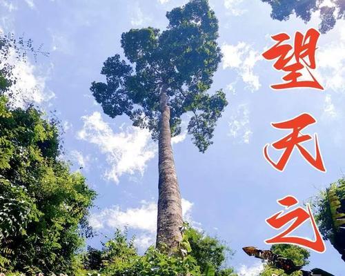穿越季节，寻找心中的美（一个人的旅行日记）