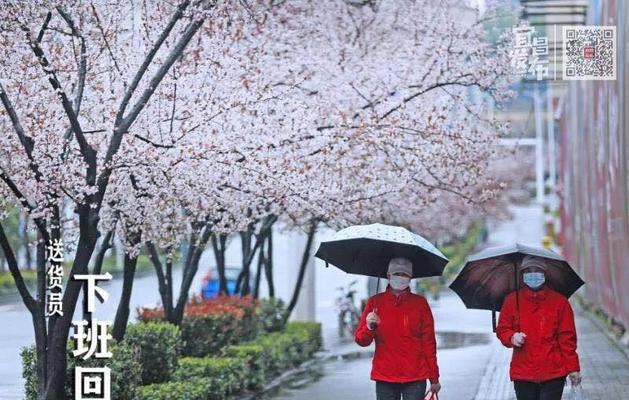 春暖花开（阳光下的季节变迁）