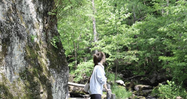 梦想的力量（如何在困难面前坚持自己的梦想）
