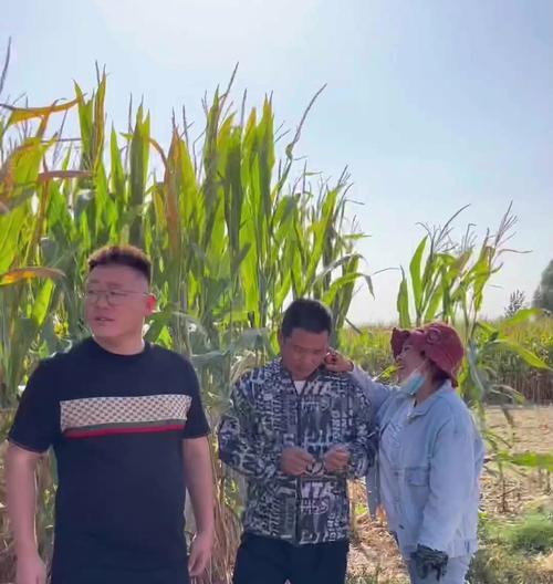 满脸的笑容（一个年轻人的励志故事）