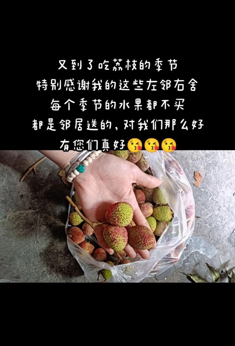生命中的相遇总有些神奇，让我们一起感恩吧！（生命中的相遇总有些神奇，让我们一起感恩吧！）