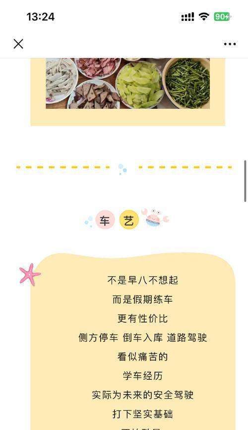 假期的精彩生活（感悟成长，拓展视野）