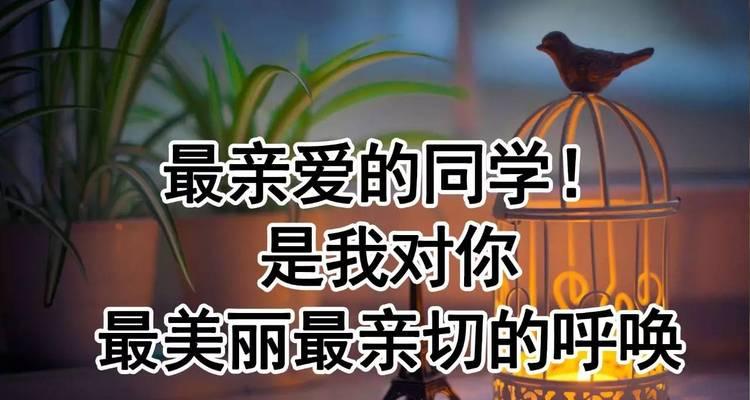 同窗之谊（一个小学生的故事）