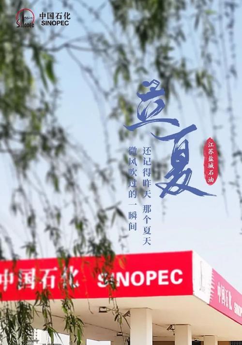 汗水孕育成功（一个人物的励志故事）